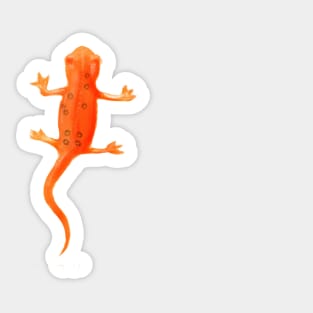 Salamander Sticker